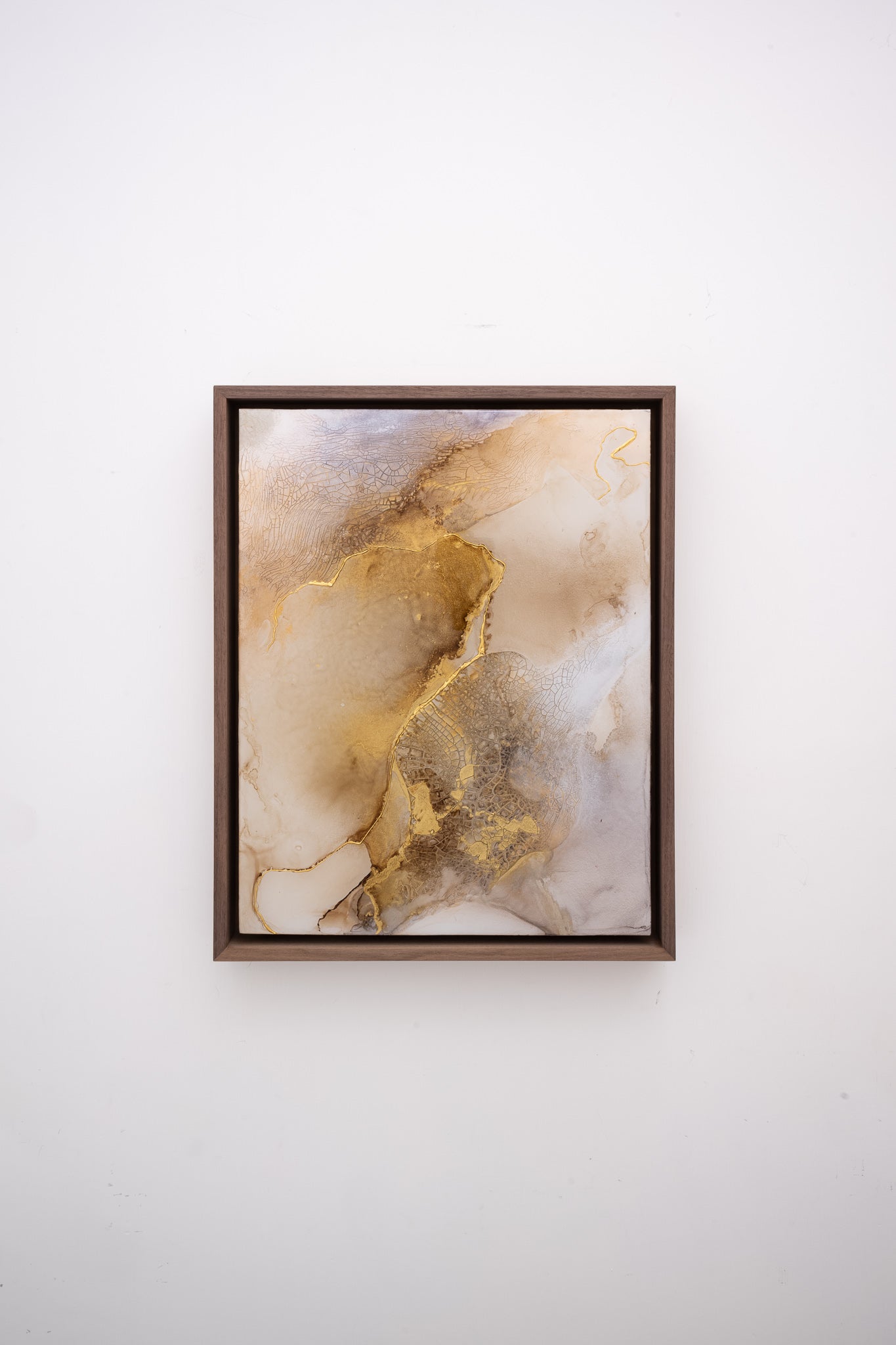 Symbiosis No.1