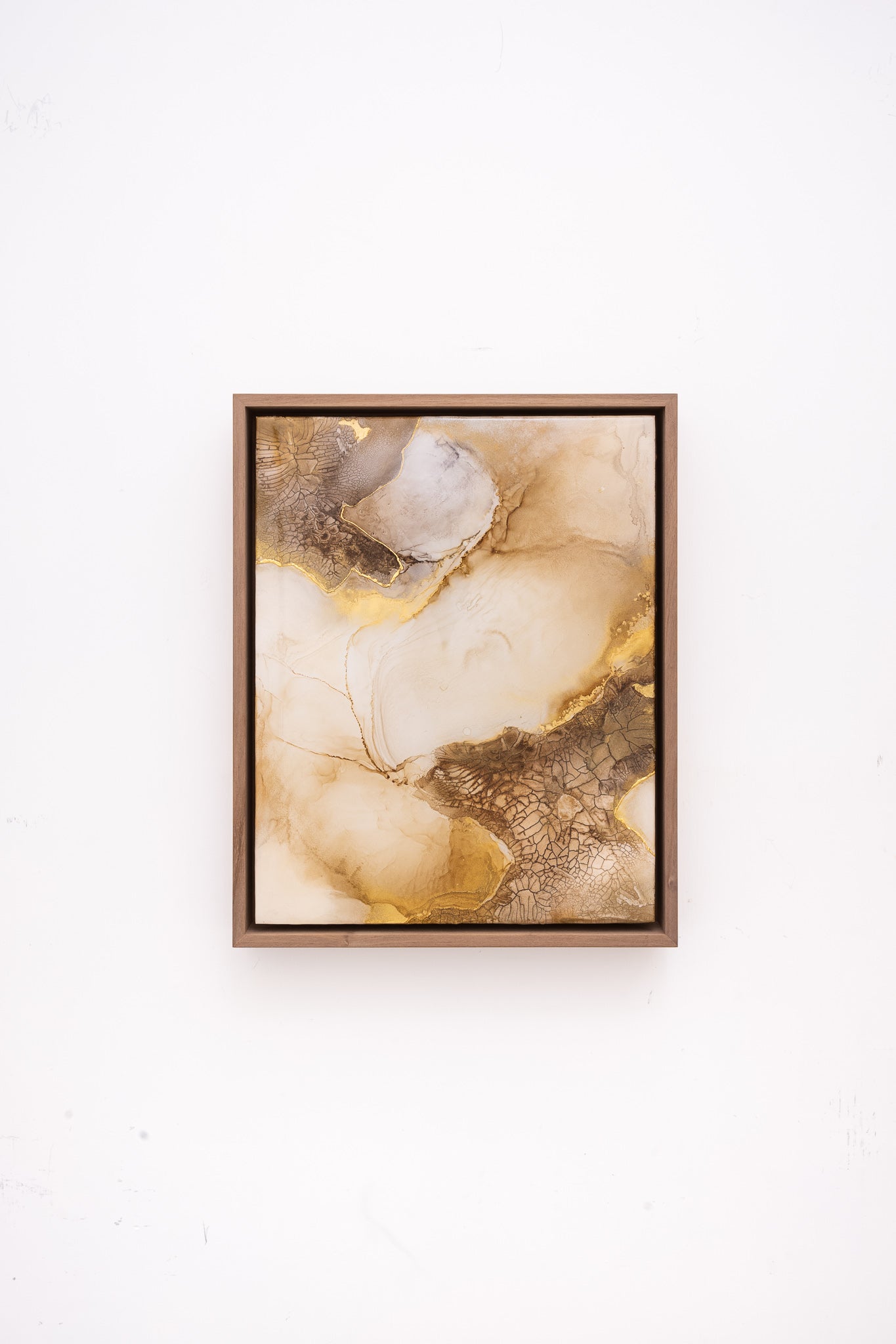 Symbiosis No.28