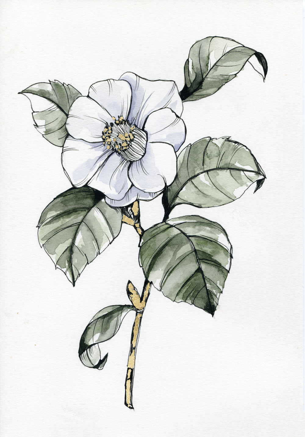 Day 11 - Camellia