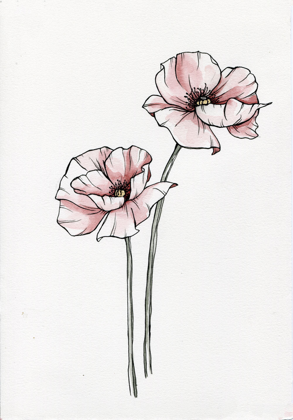Day 16 - Poppy