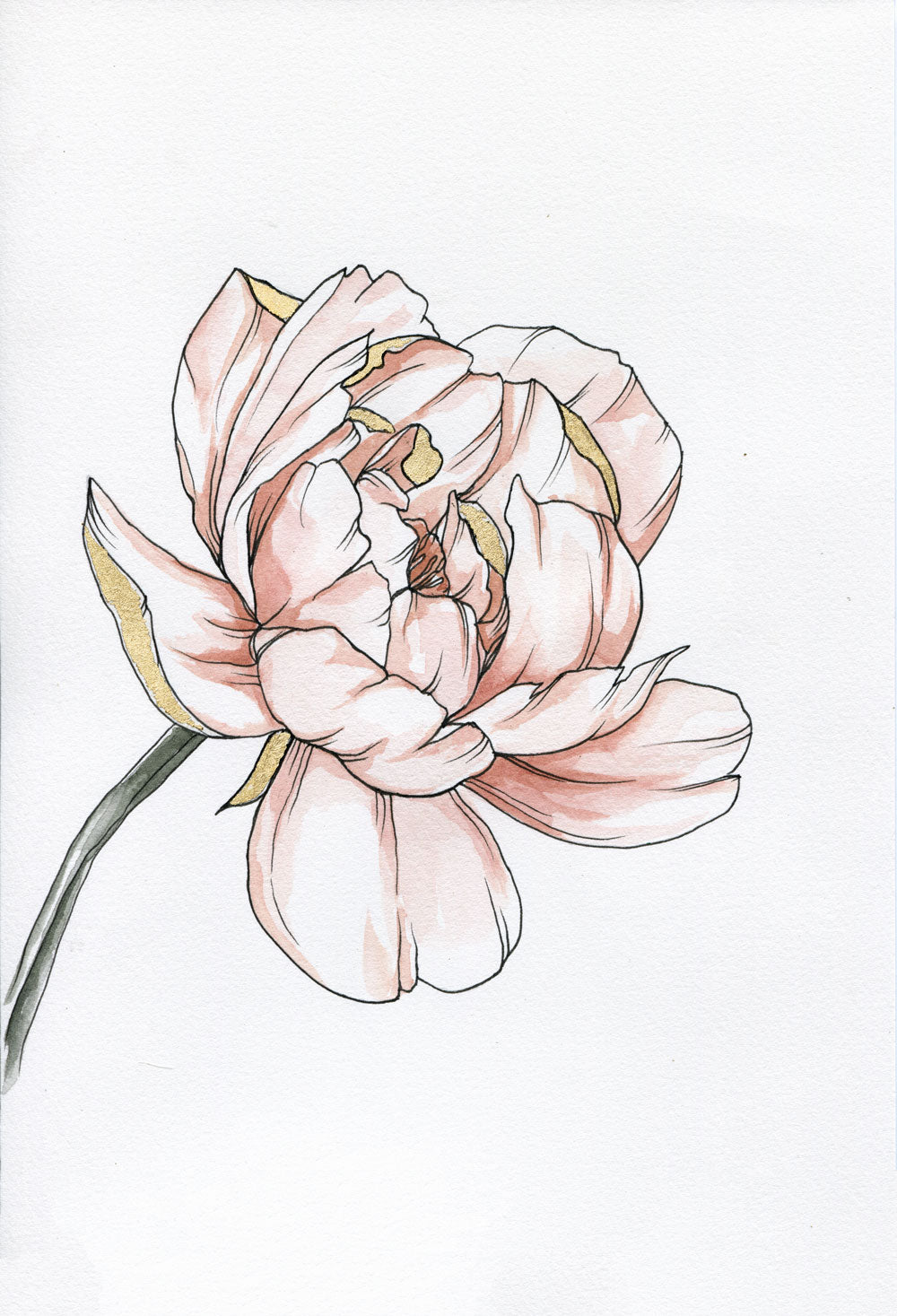Day 28 - Peony