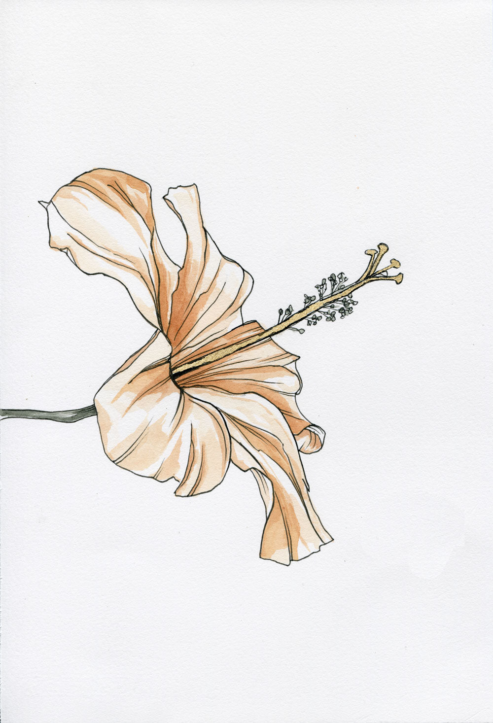 Day 29 - Hibiscus