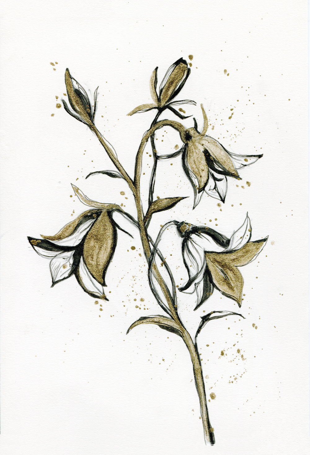 Day 3 - Bluebells
