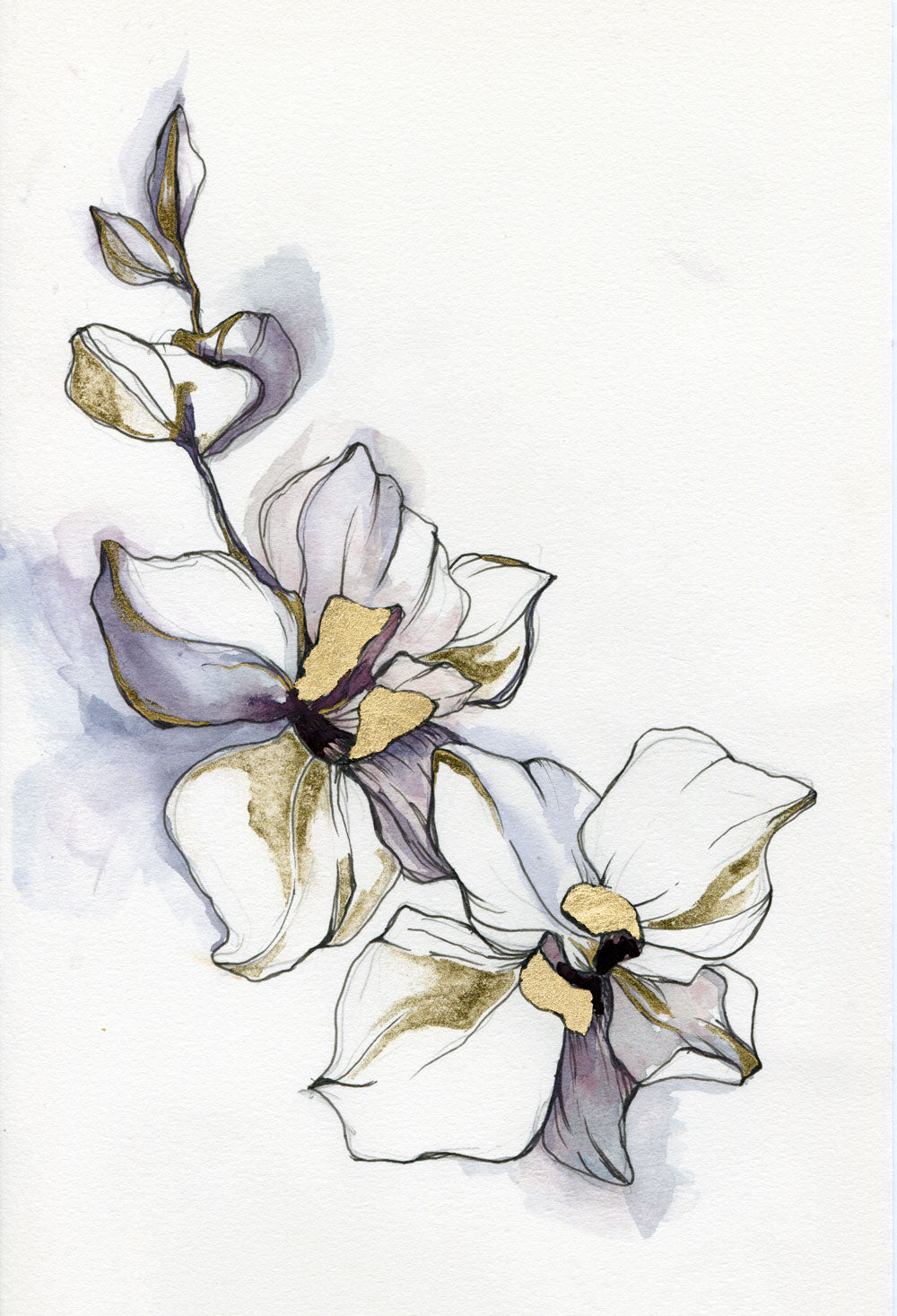 Day 4 - Orchid