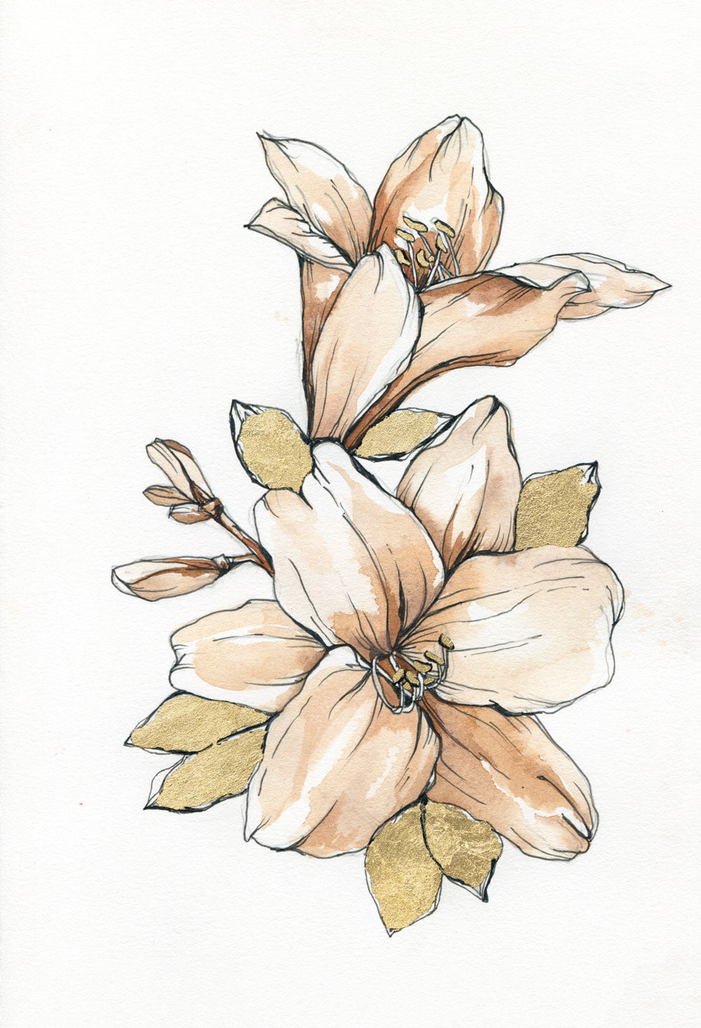 Day 6 - Lily