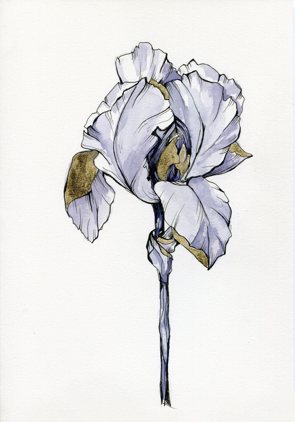 Day 9 - Iris