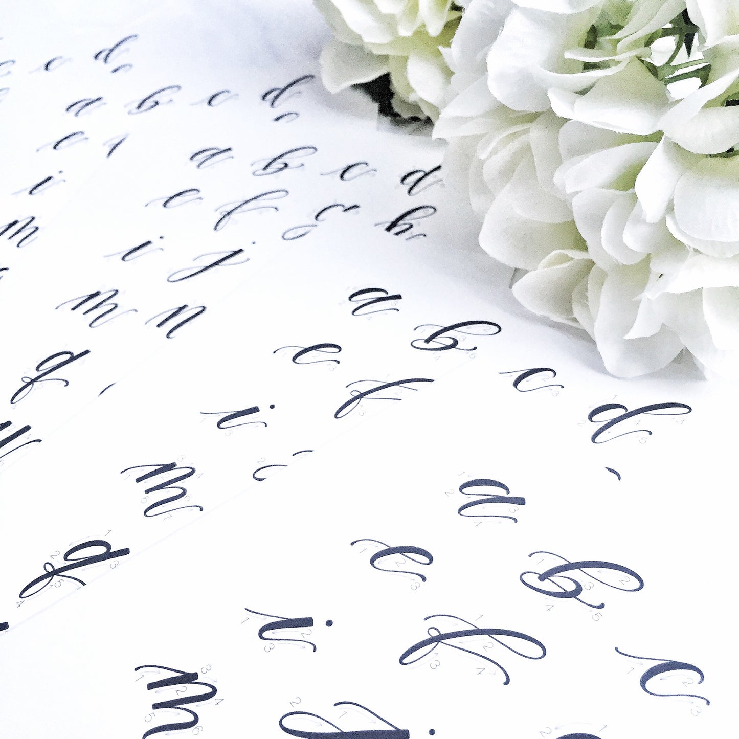 Christmas Calligraphy Workshop