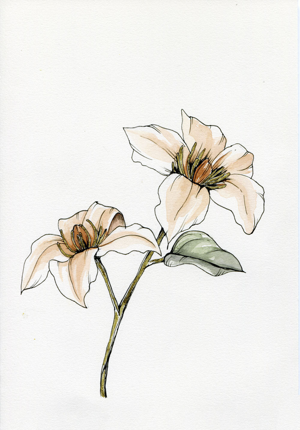 Day 12 - Clematis