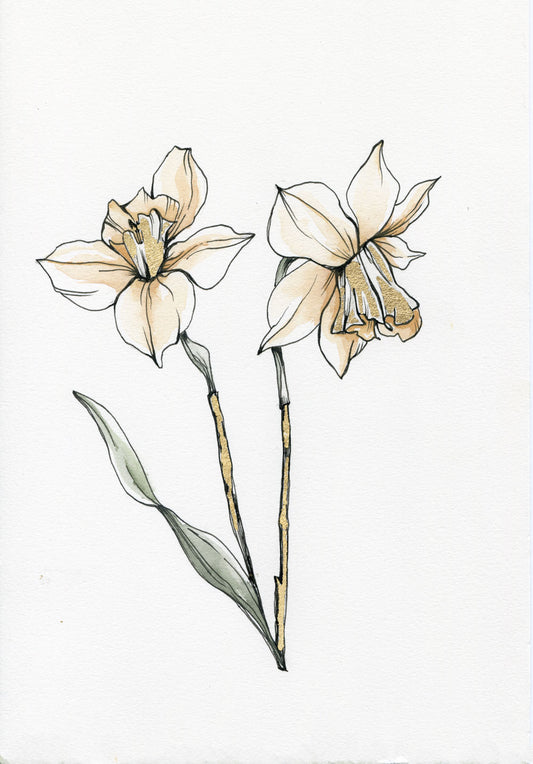 Day 14 - Daffodil