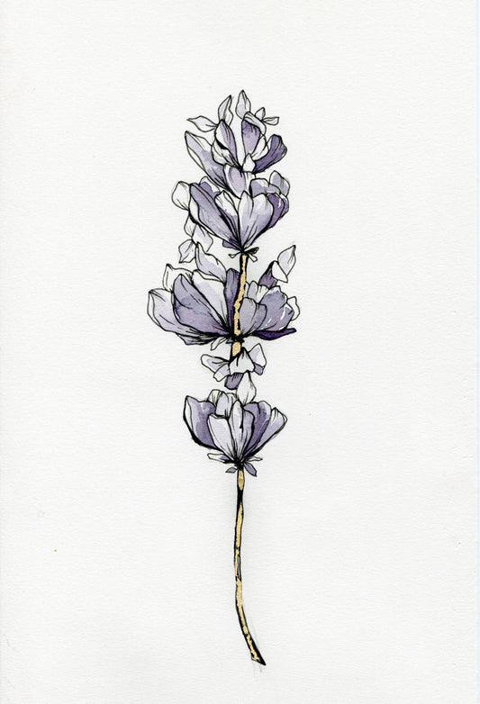 Day 5 - Lavender